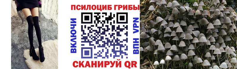 Купить закладки  Алапаевск  Галлюциногенные грибы мухоморы 